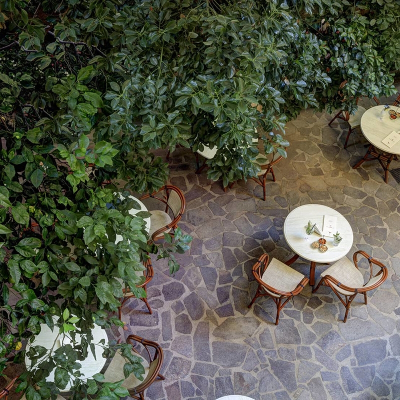 VistacameraStandardBassospecular