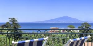 VistaCameraPrestige