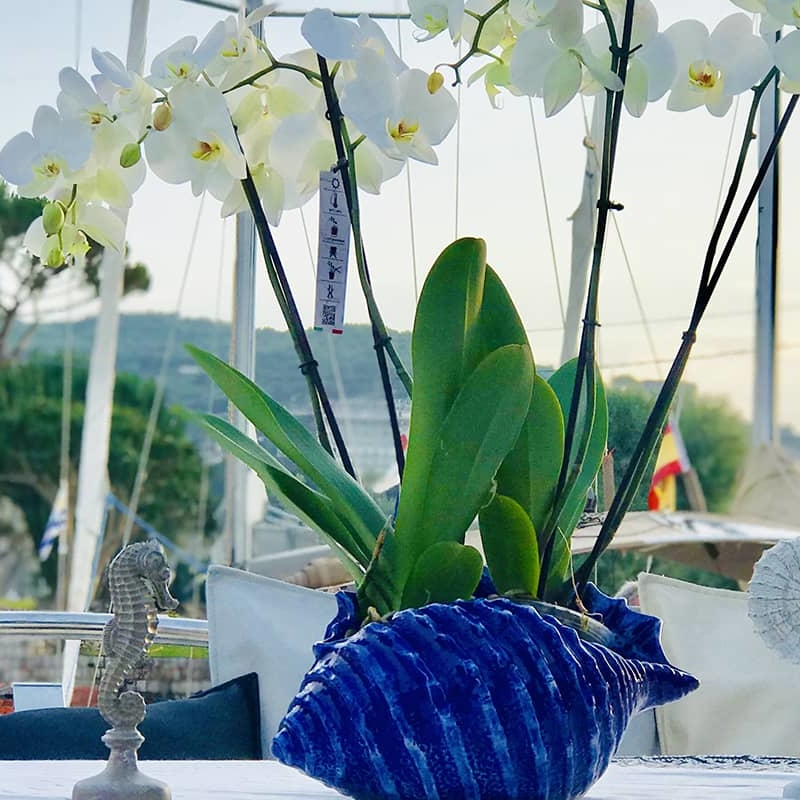 sunseekertablequadrata