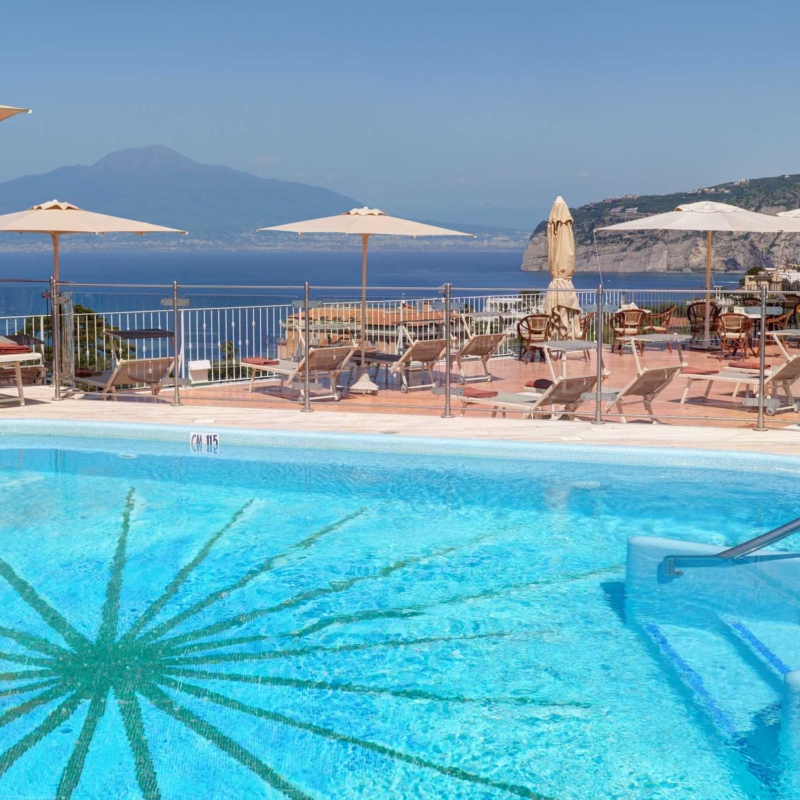 Full view of the rooftop garden during the day