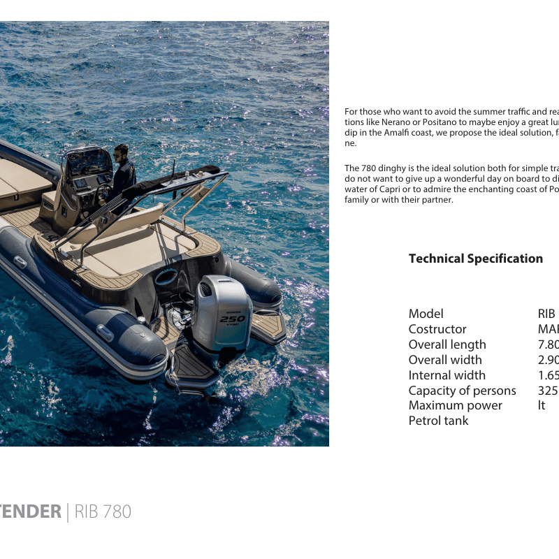 RIB  Technical Specification